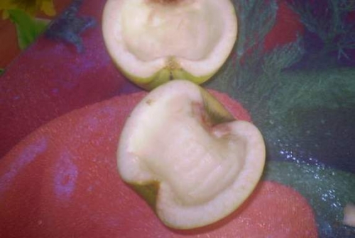 готуємо часточки з яблук