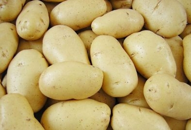 молода картопля