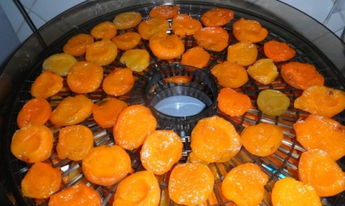сушимо абрикоси