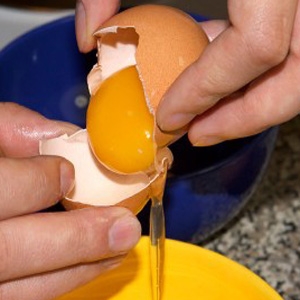 курочкины яйця