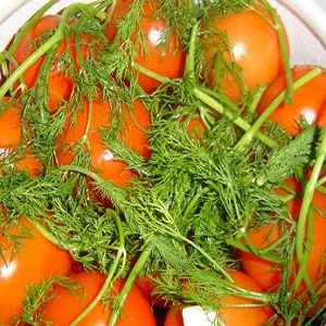 помідори з травами