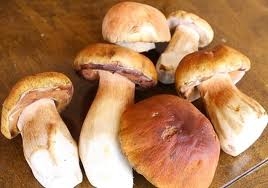 чистимо білі гриби