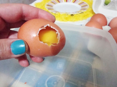 отвір в яйці