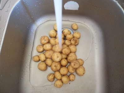 картопля молода під водою