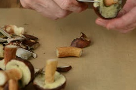 подрібнюємо білі гриби